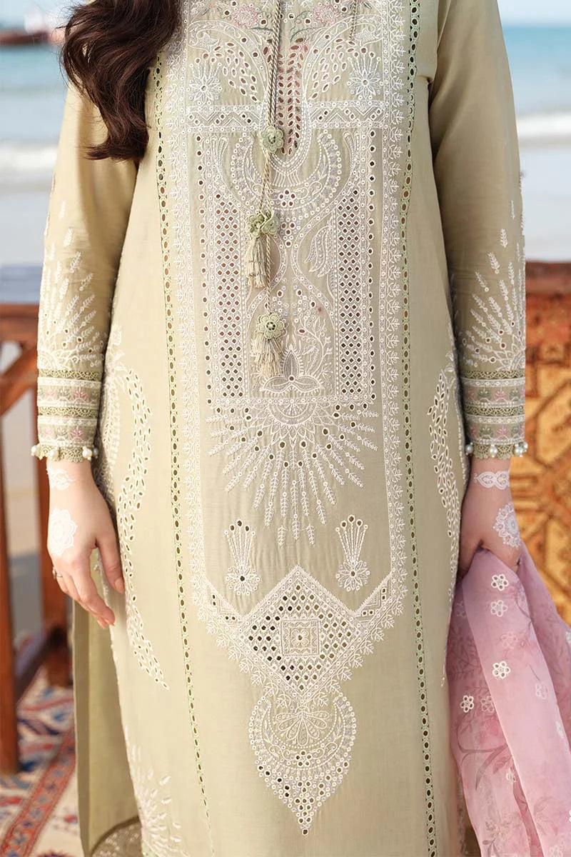 3pc Unstitched Lawn Embroidered DV-10